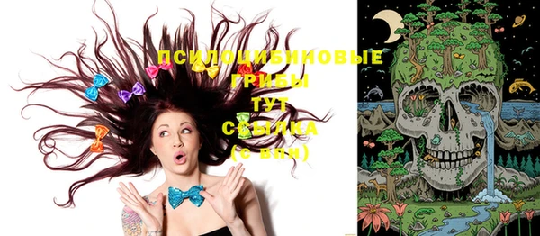 трава Балахна
