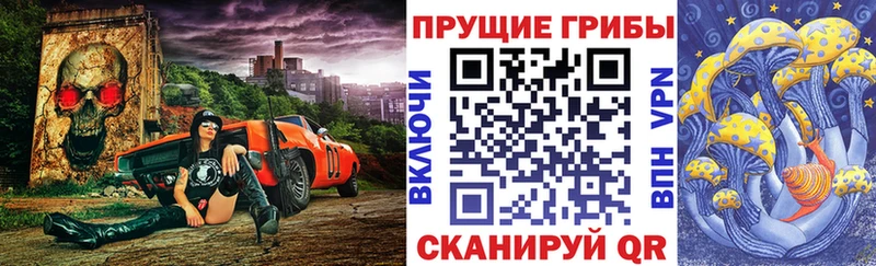 ссылка на мегу ТОР  Тотьма  Галлюциногенные грибы Psilocybe 